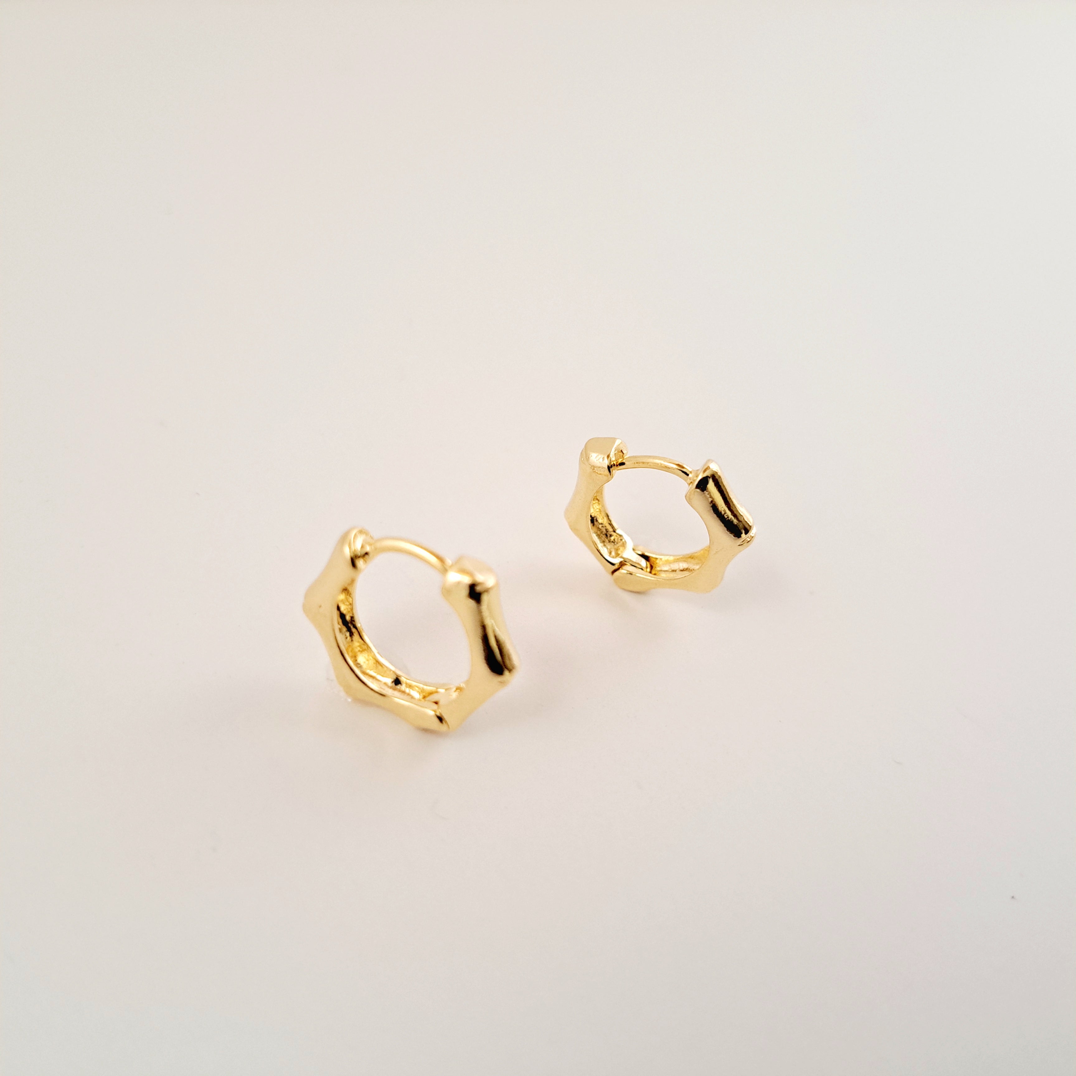 Zhu Hoop Earrings