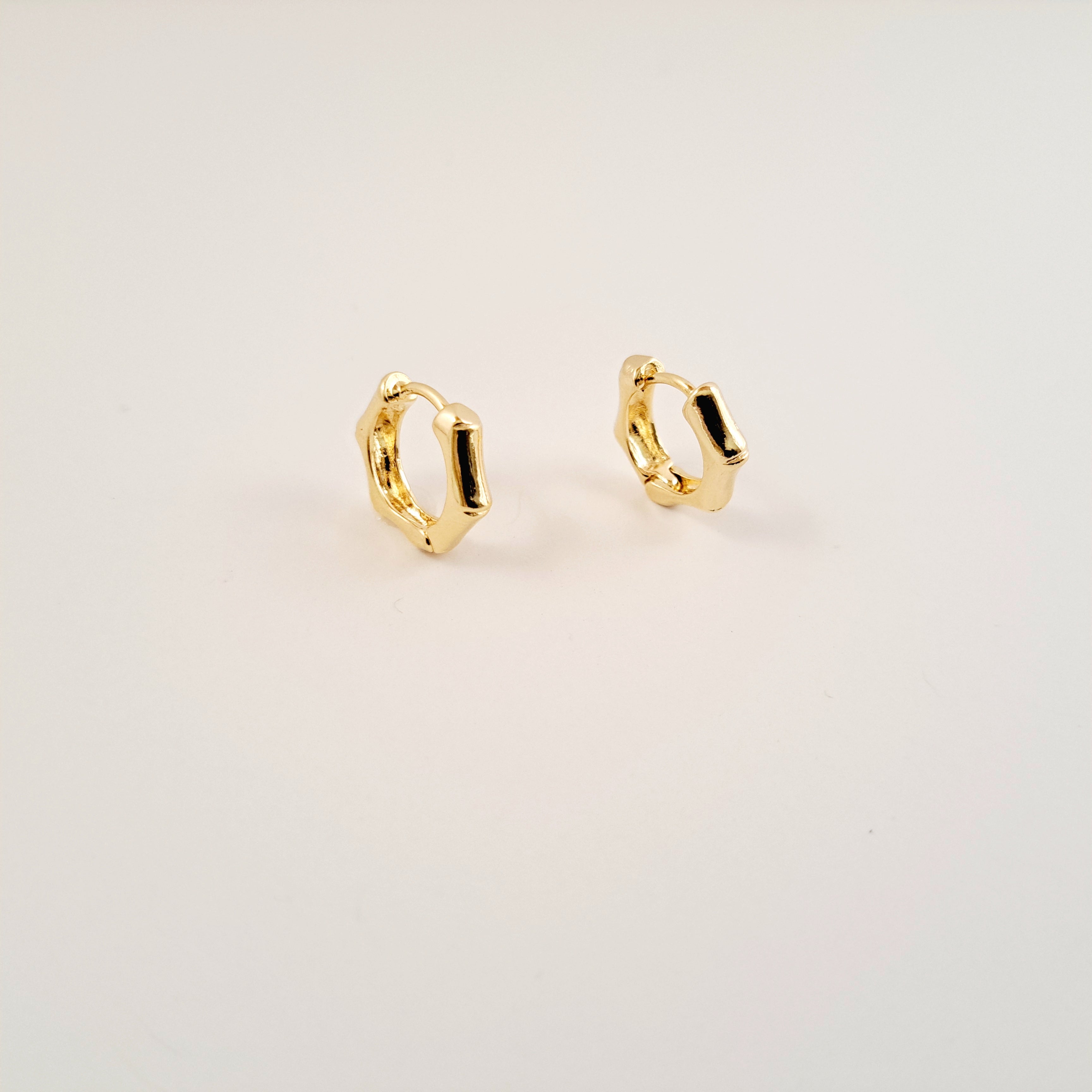 Zhu Hoop Earrings