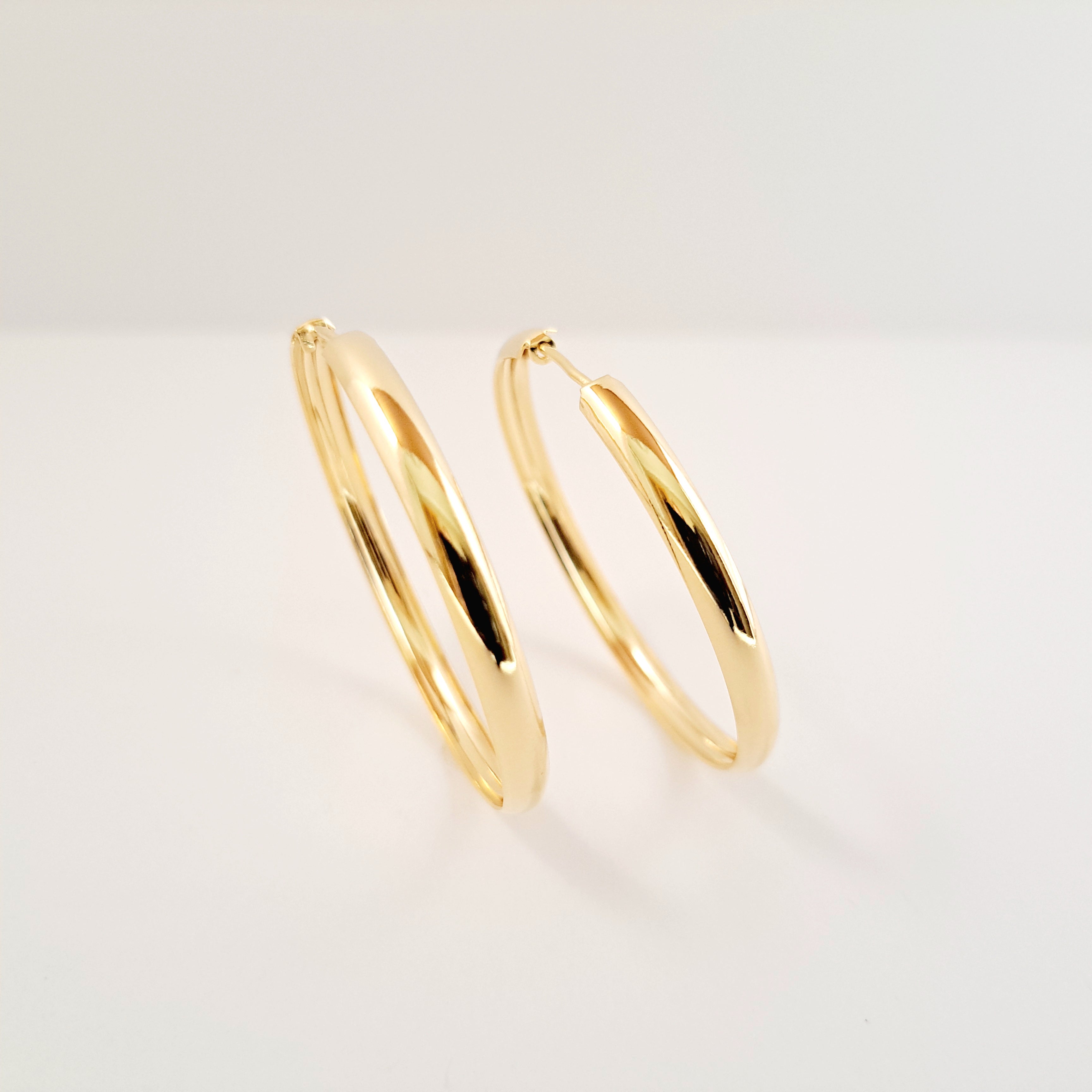 Daire Hoop Earrings